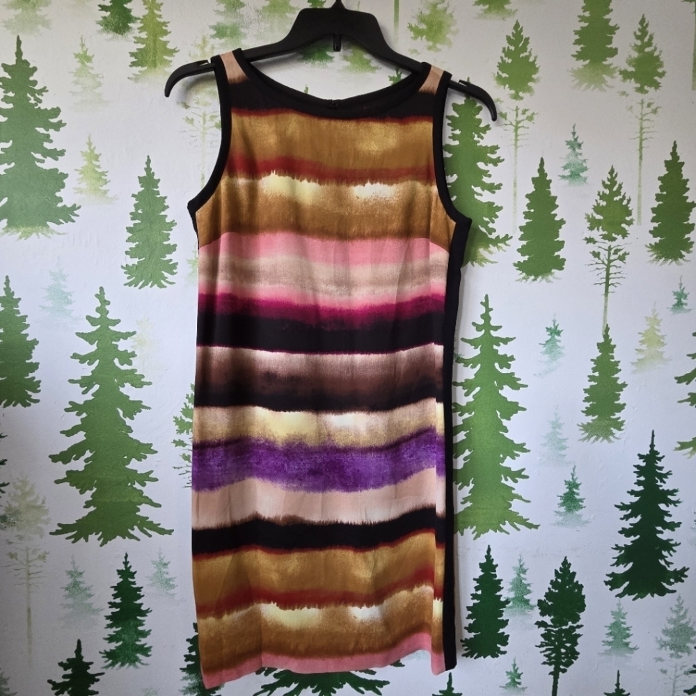 Striped Ann Taylor Multicolor Sleeveless Dress.